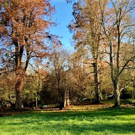 Maison De 5 Chambres Avec Sauna Jardin Clos Et Wifi A Voulmentin Σπίτι διακοπών